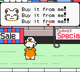 screenshots/Game Boy Color/Hamtaro - Ham-Hams Unite!/Hamtaro - Ham-Hams Unite! (Eng) 030.png